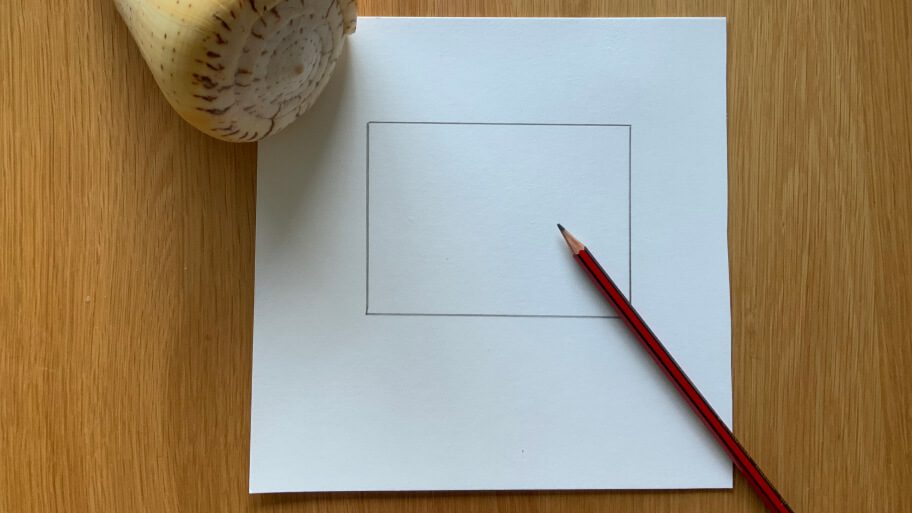 rectangle drawing