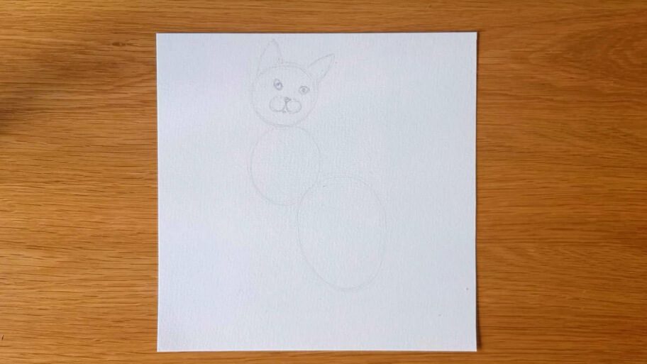 Cat Drawing