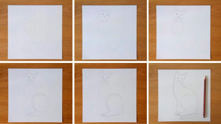 Cat Drawing
