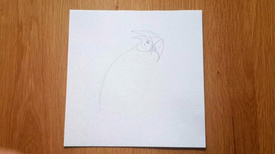 Parrot Drawing