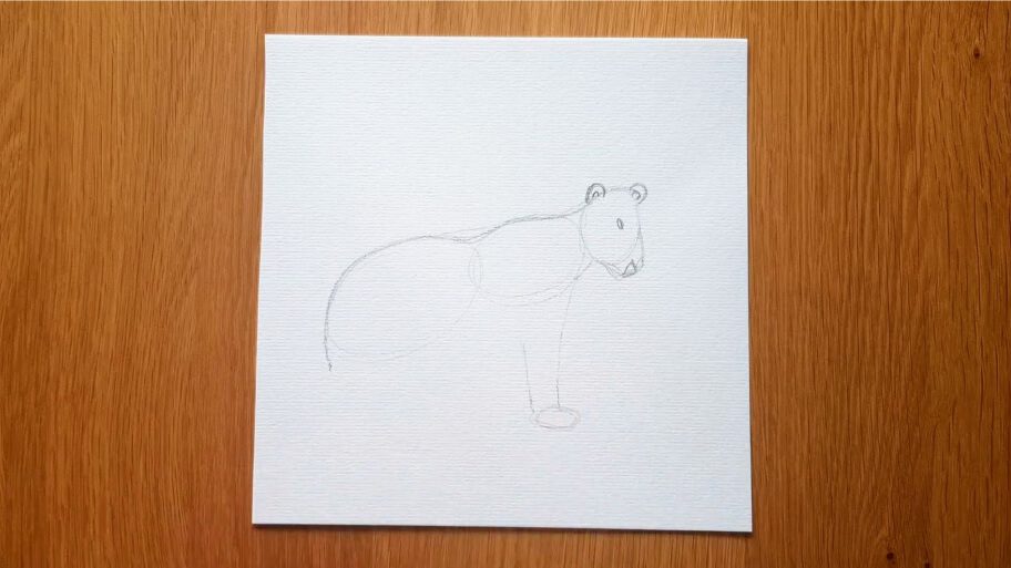 Bear Drawing