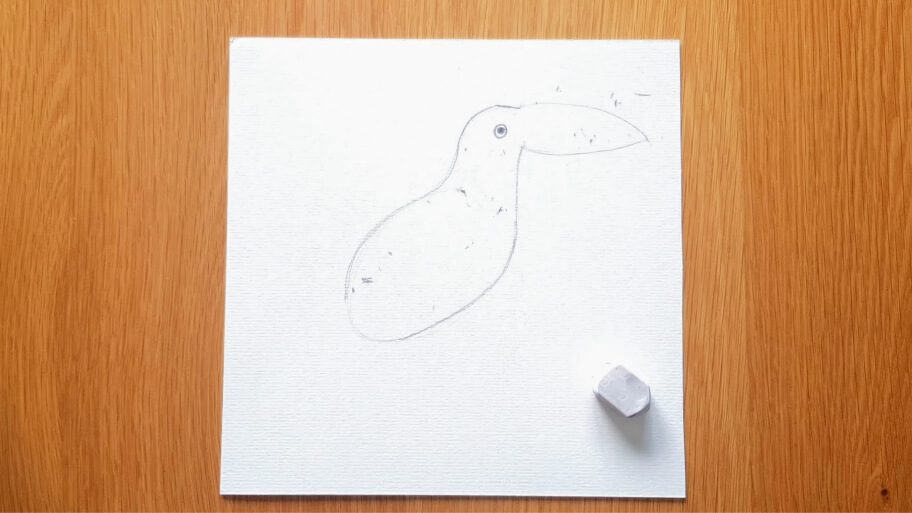 Bird Drawing