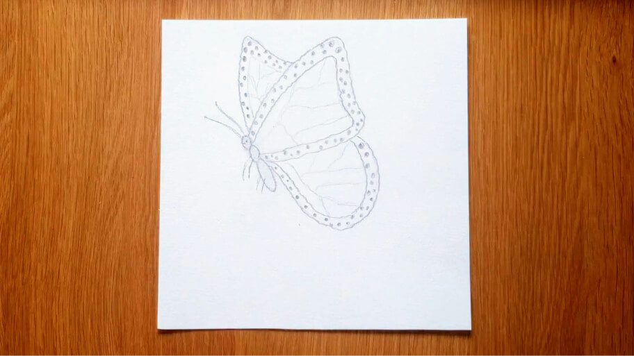 Butterfly Drawing
