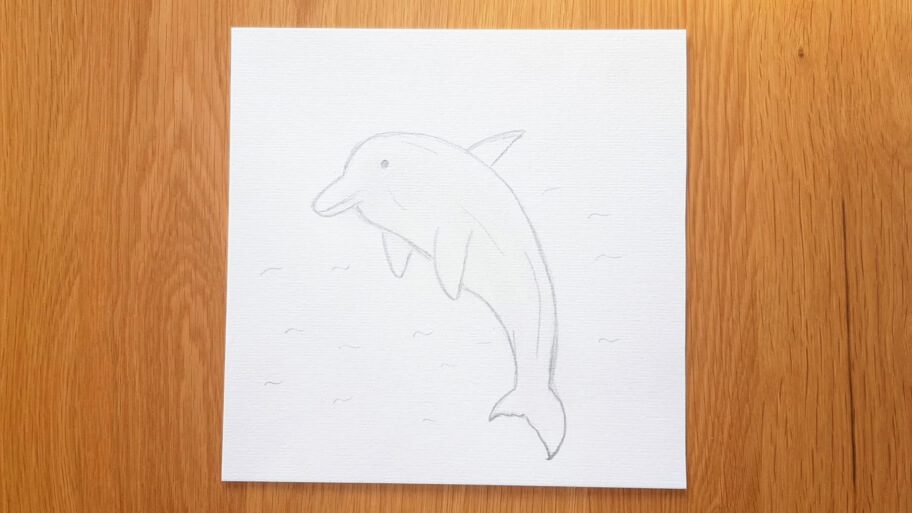 Dolphin Drawing