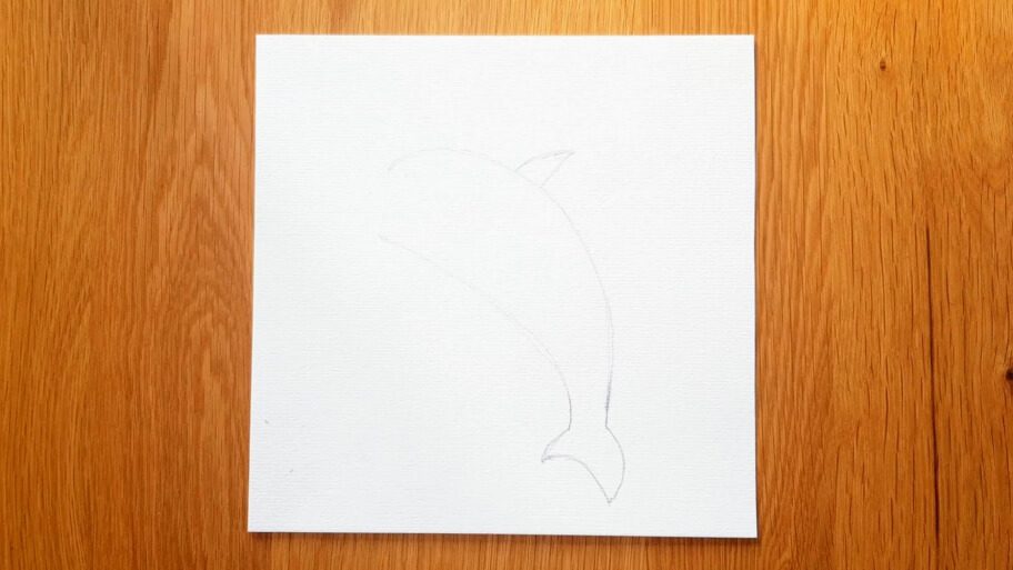 Dolphin Drawing