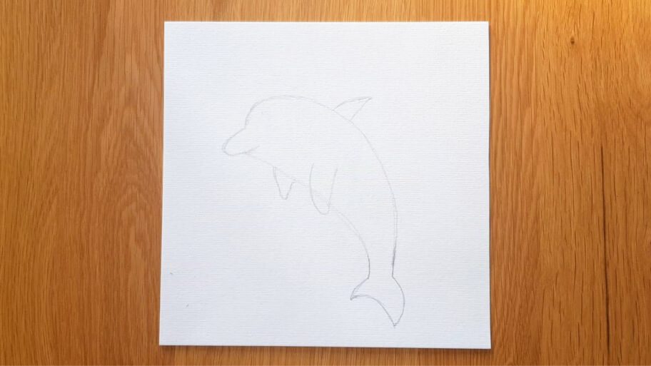 Dolphin Drawing