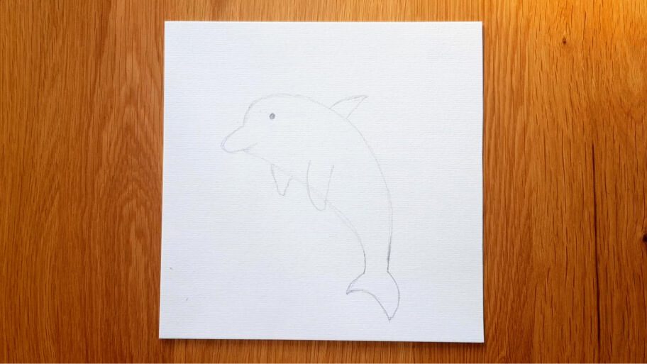 Dolphin Drawing