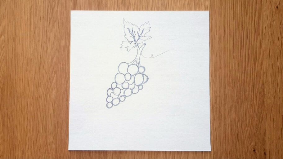 Grapes Drawing