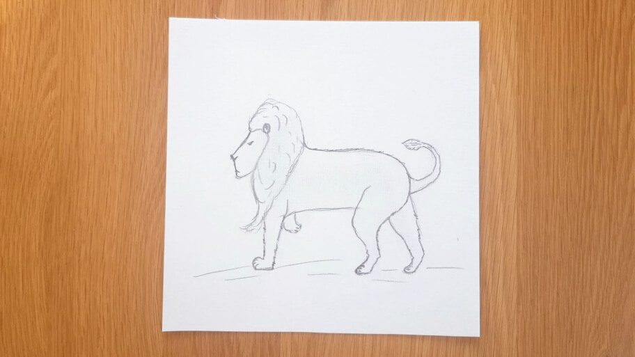 Lion Drawing