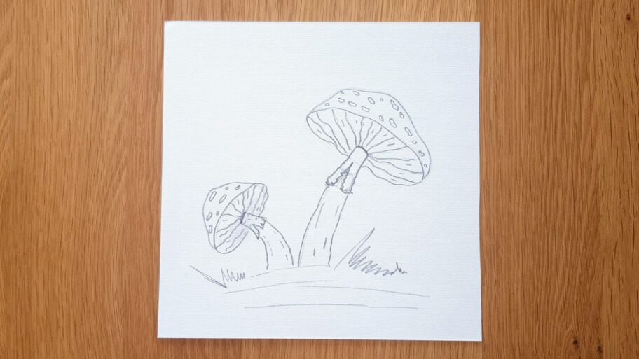 Mushroom Drawing