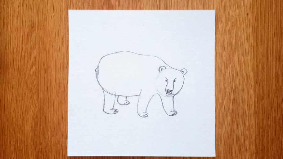 Panda Drawing