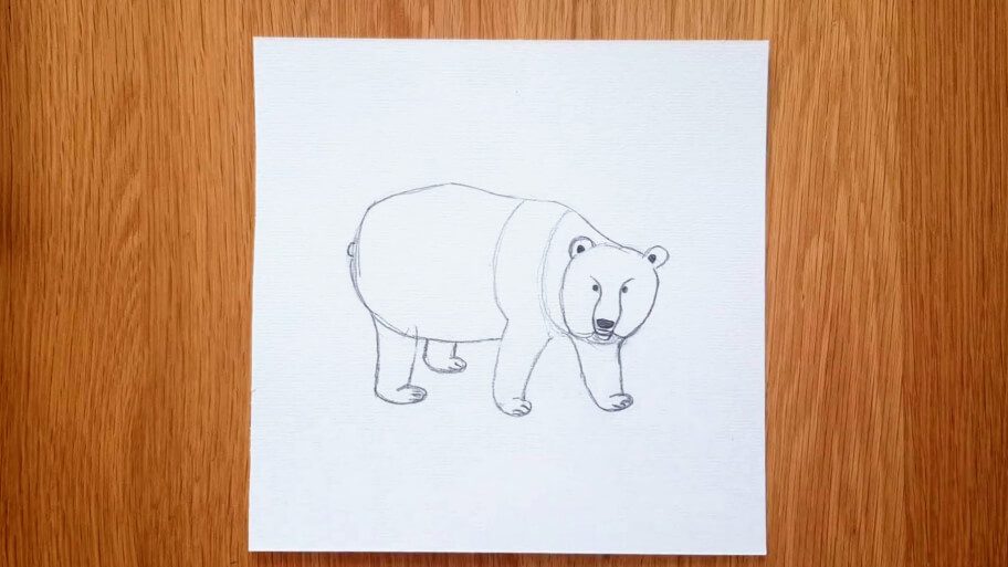 Panda Drawing