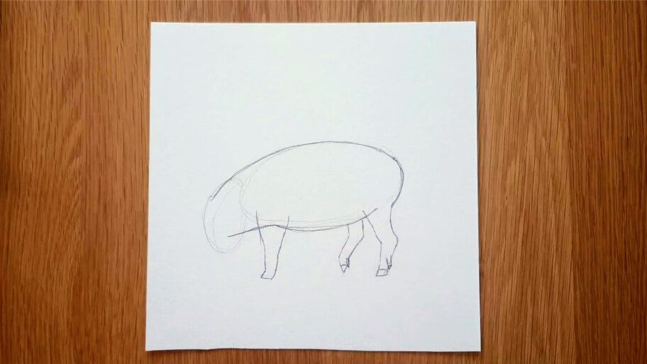 Pig Drawing