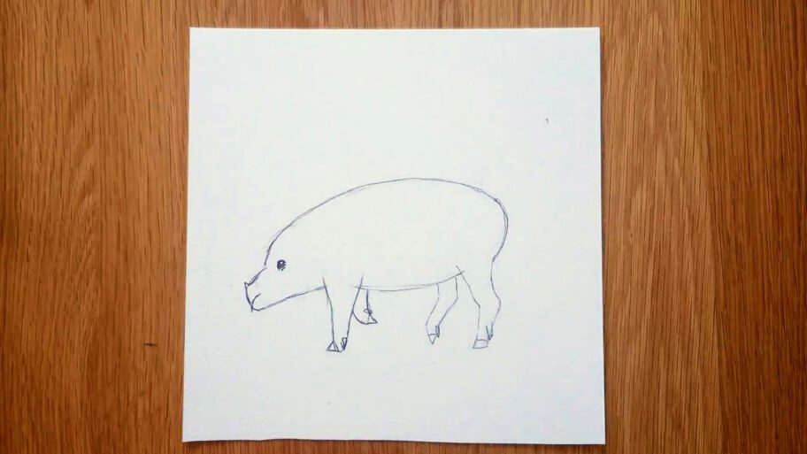 Pig Drawing