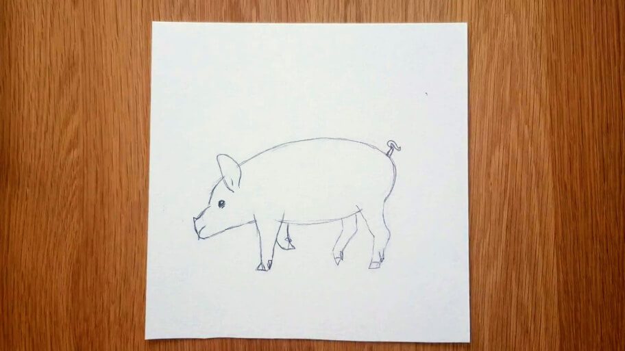 Pig Drawing