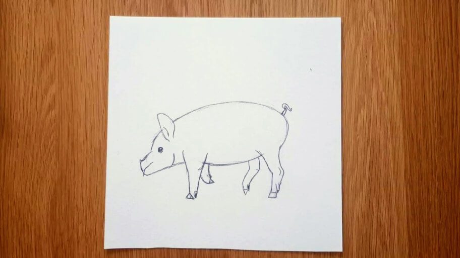 Pig Drawing