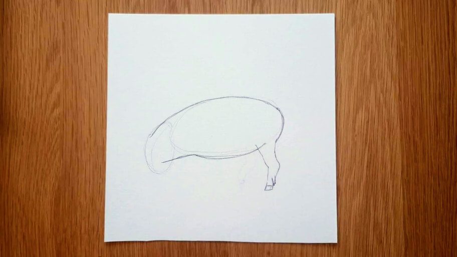 Pig Drawing