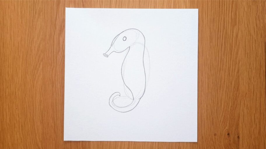 Seahorse Drawing