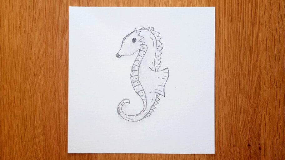Seahorse Drawing