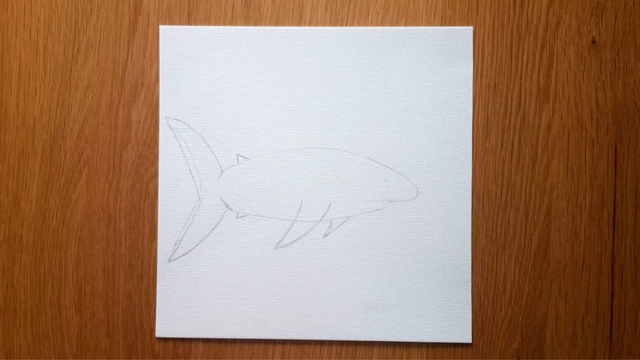 Shark Drawing