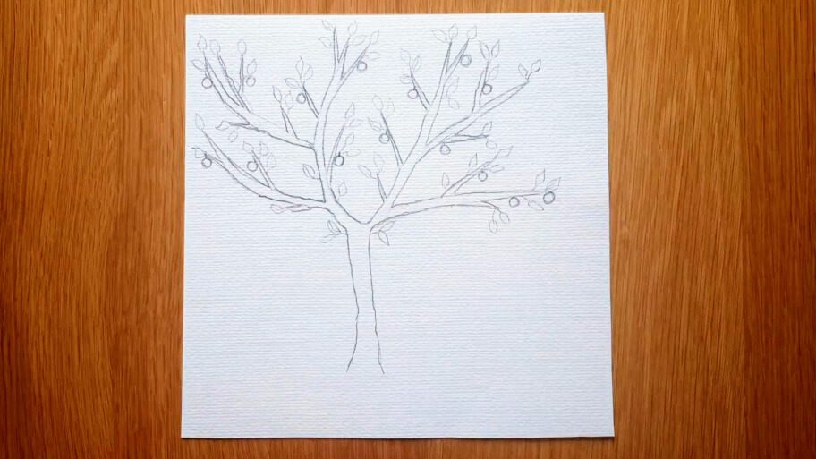 apple tree drawing easy