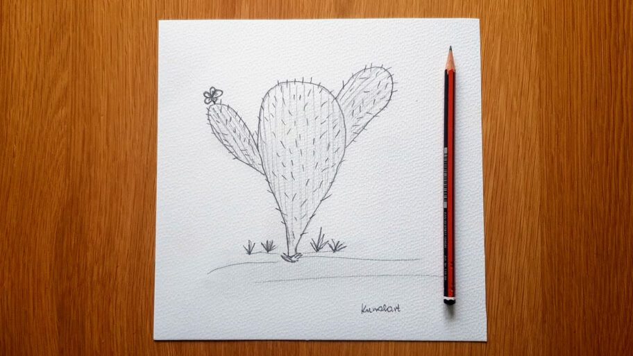 Cactus Drawing Cactus