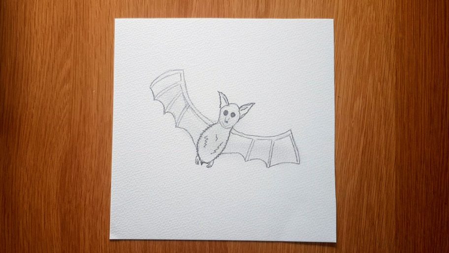 Easy Bat Drawing