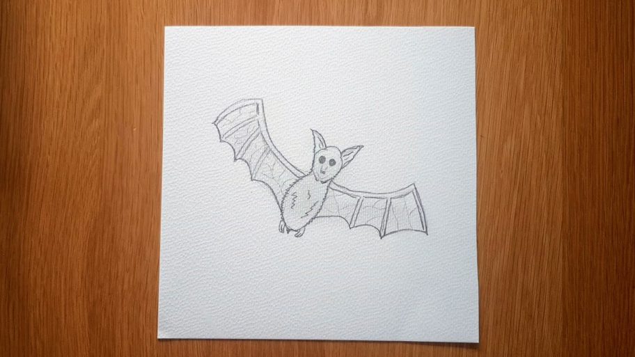 Easy Bat Drawing