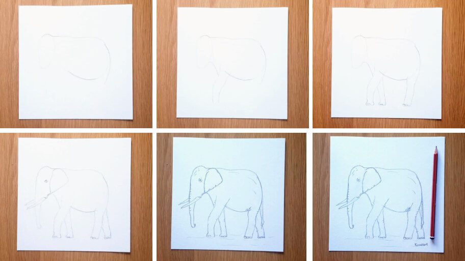 Elephant_Drawing_Collage