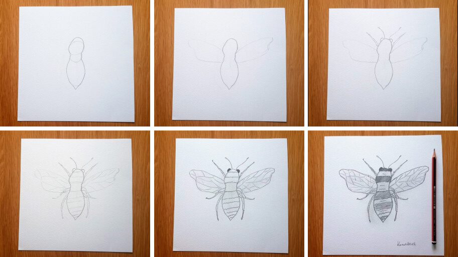 Bee Drawing - How To Draw A Bee Step By Step