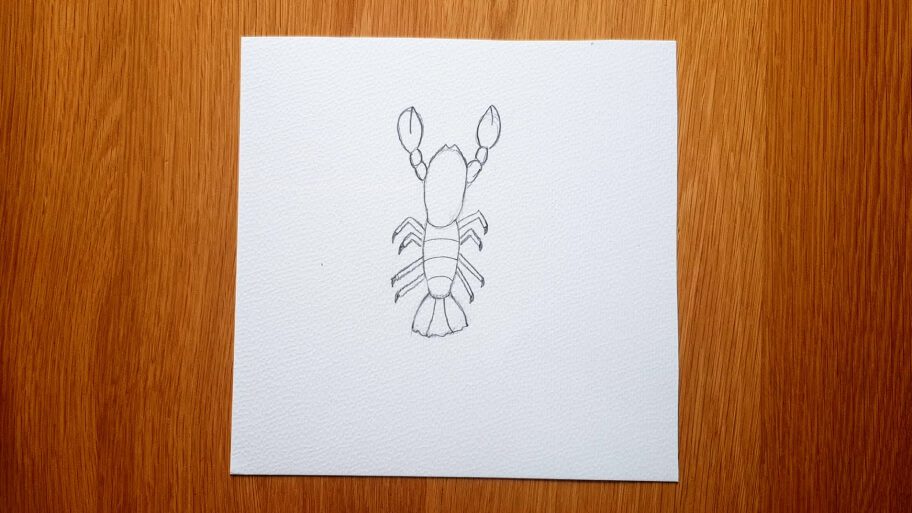 Lobster Drawing