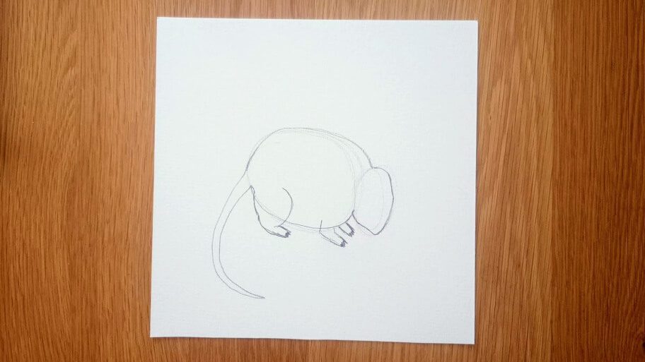 Mouse Drawing