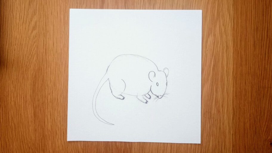 Mouse Drawing