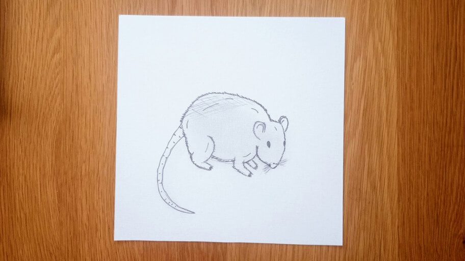 Mouse Drawing