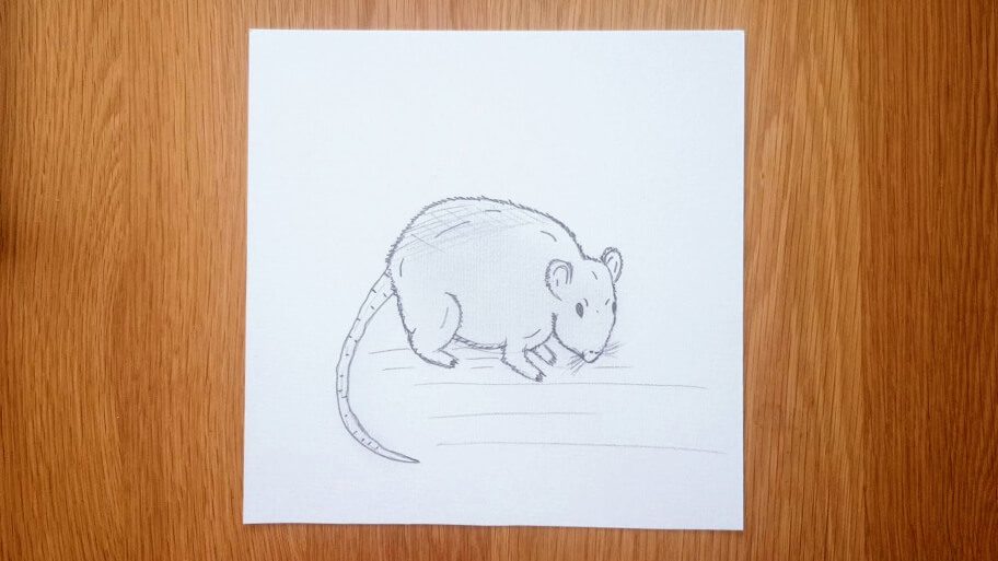 Mouse Drawing