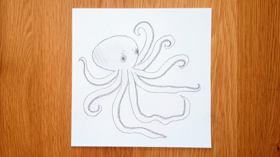 Octopus Drawing