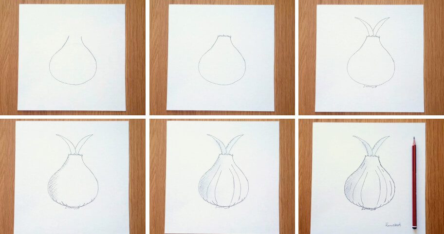 Onion_Drawing_Collage