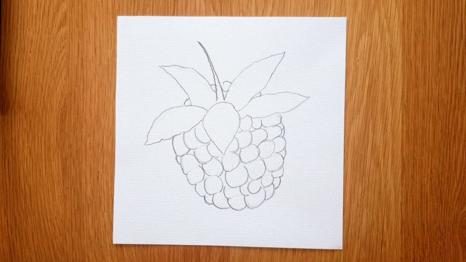 Raspberry Drawing Easy