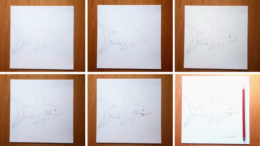 Shark_Drawing_Collage