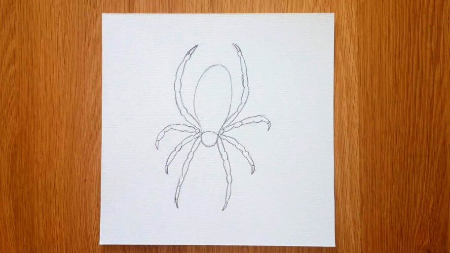 Spider Drawing