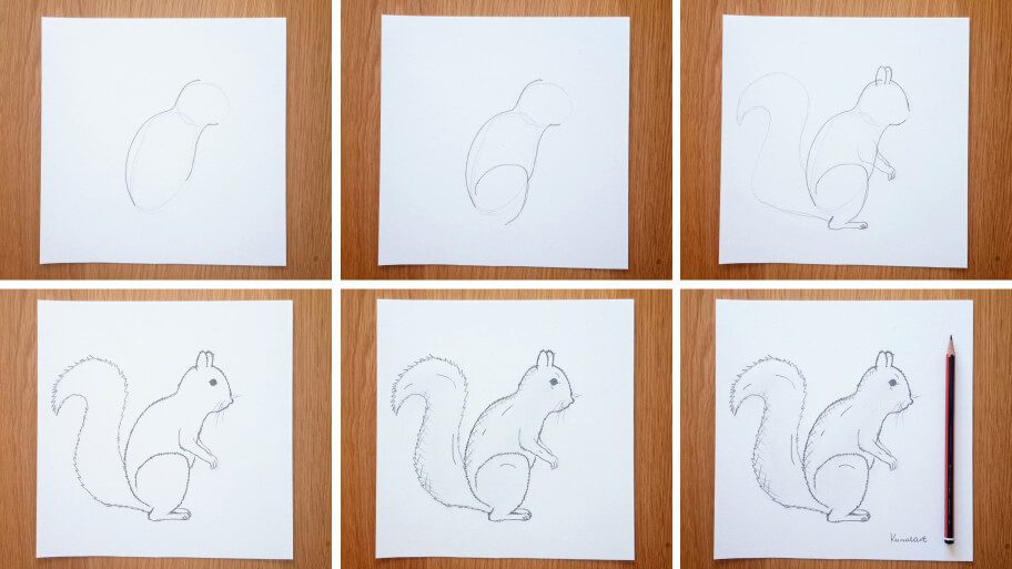 Squirrel_Drawing_Collage