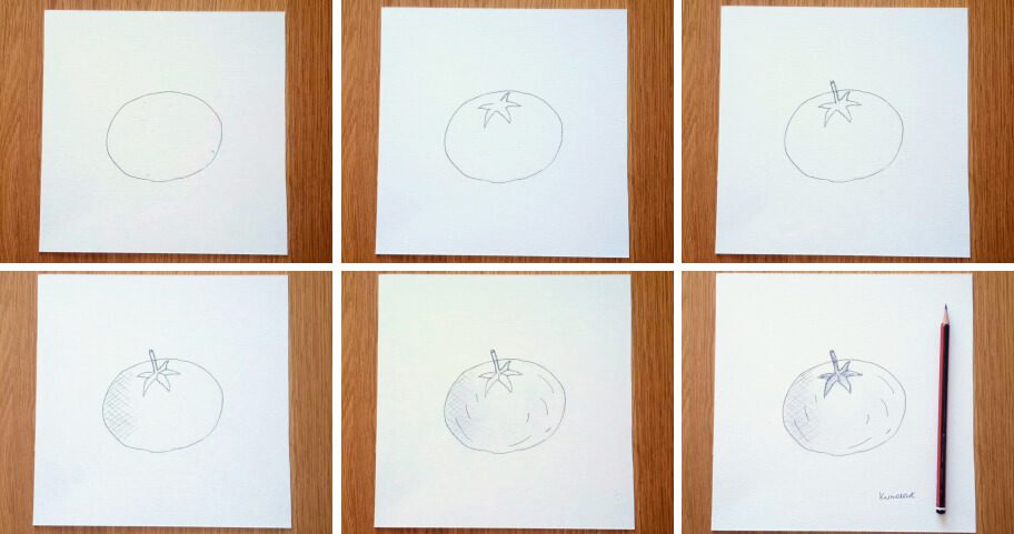 Tomato_Drawing_Collage