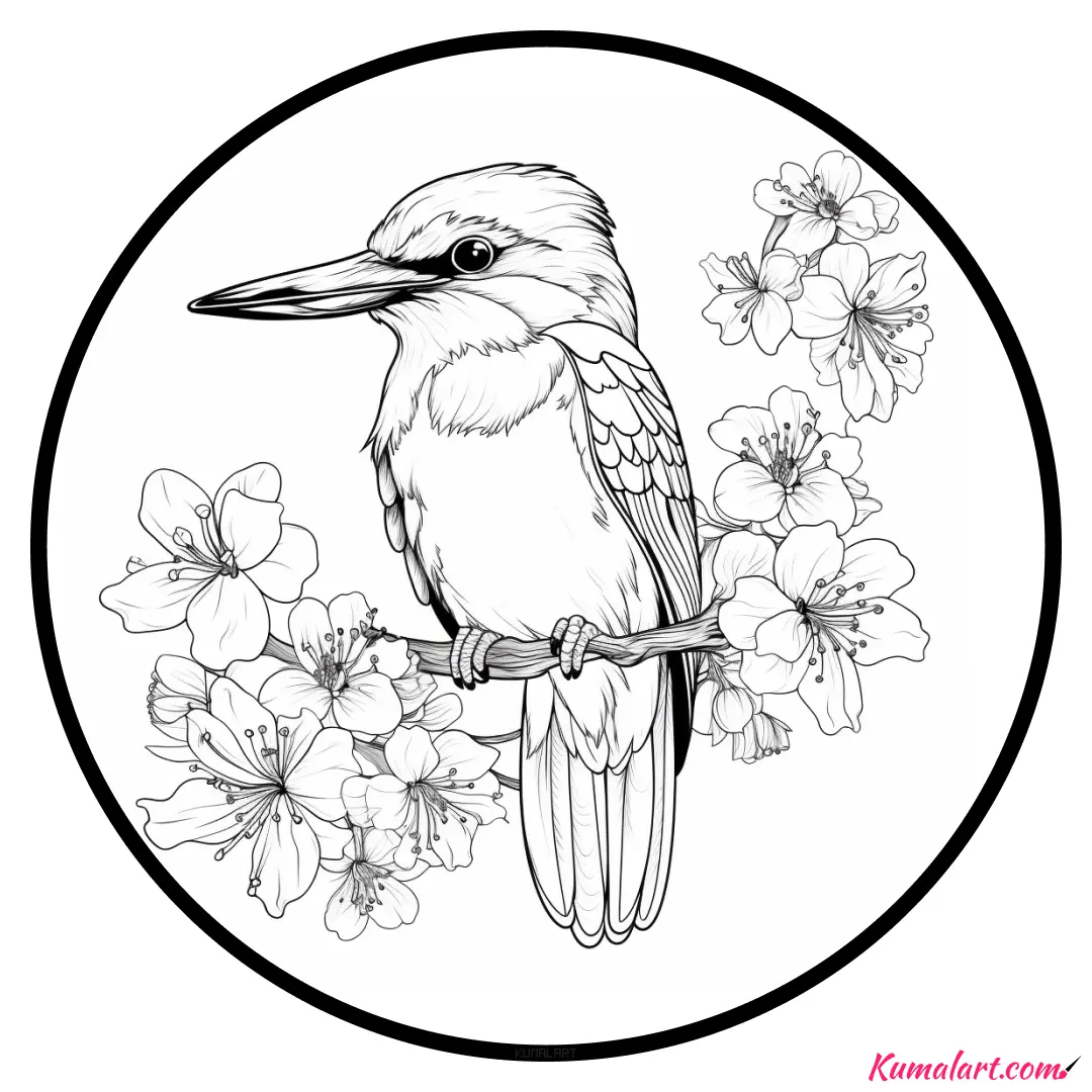 c-birdie-kingfisher-coloring-page-v1