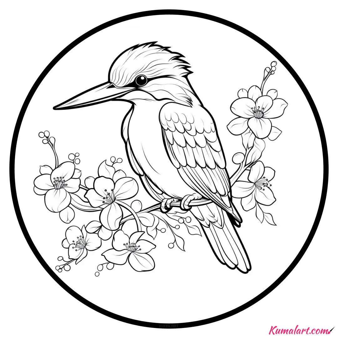 c-coco-kingfisher-coloring-page-v1