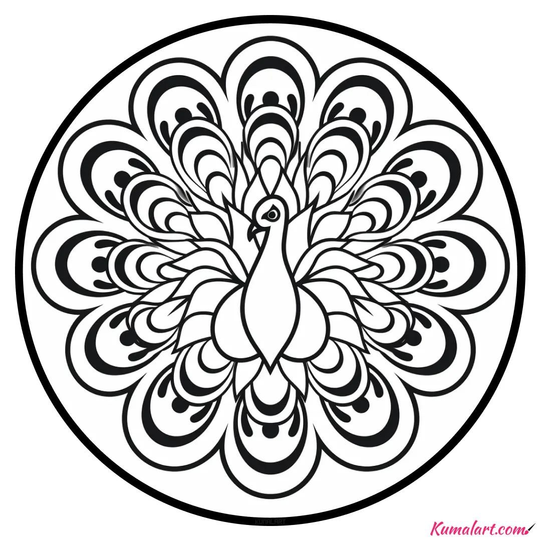 c-peacock-with-open-tail-mandala-coloring-page-v1