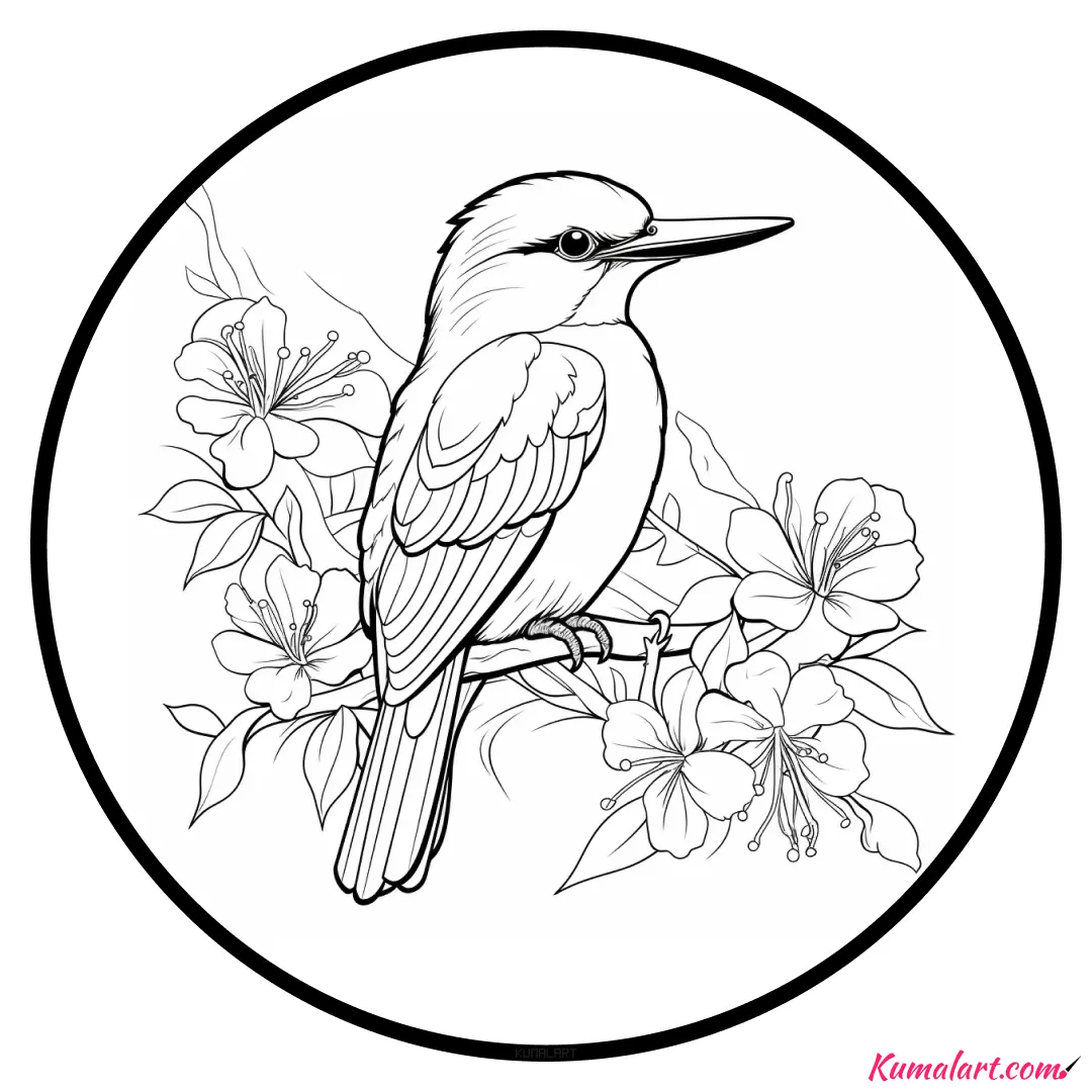 c-pied-kingfisher-coloring-page-v1