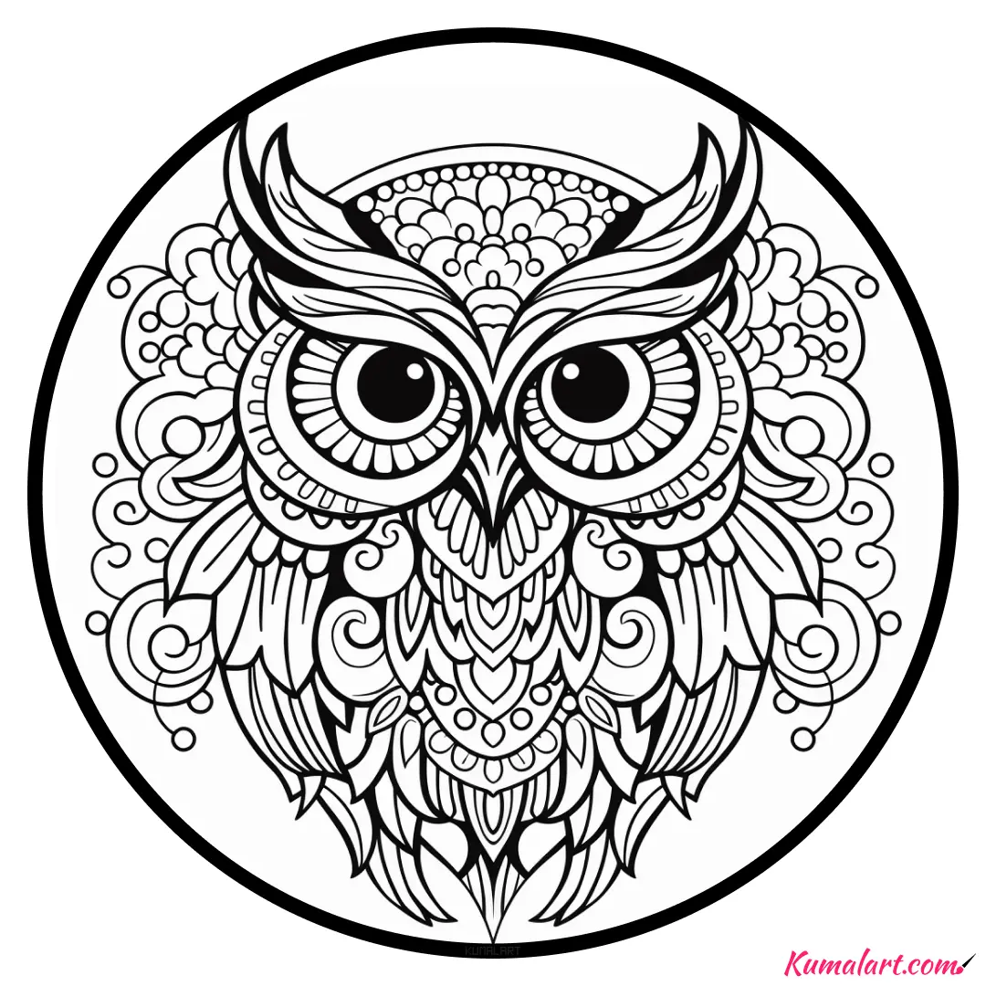 c-steve-the-owl-coloring-page-v1
