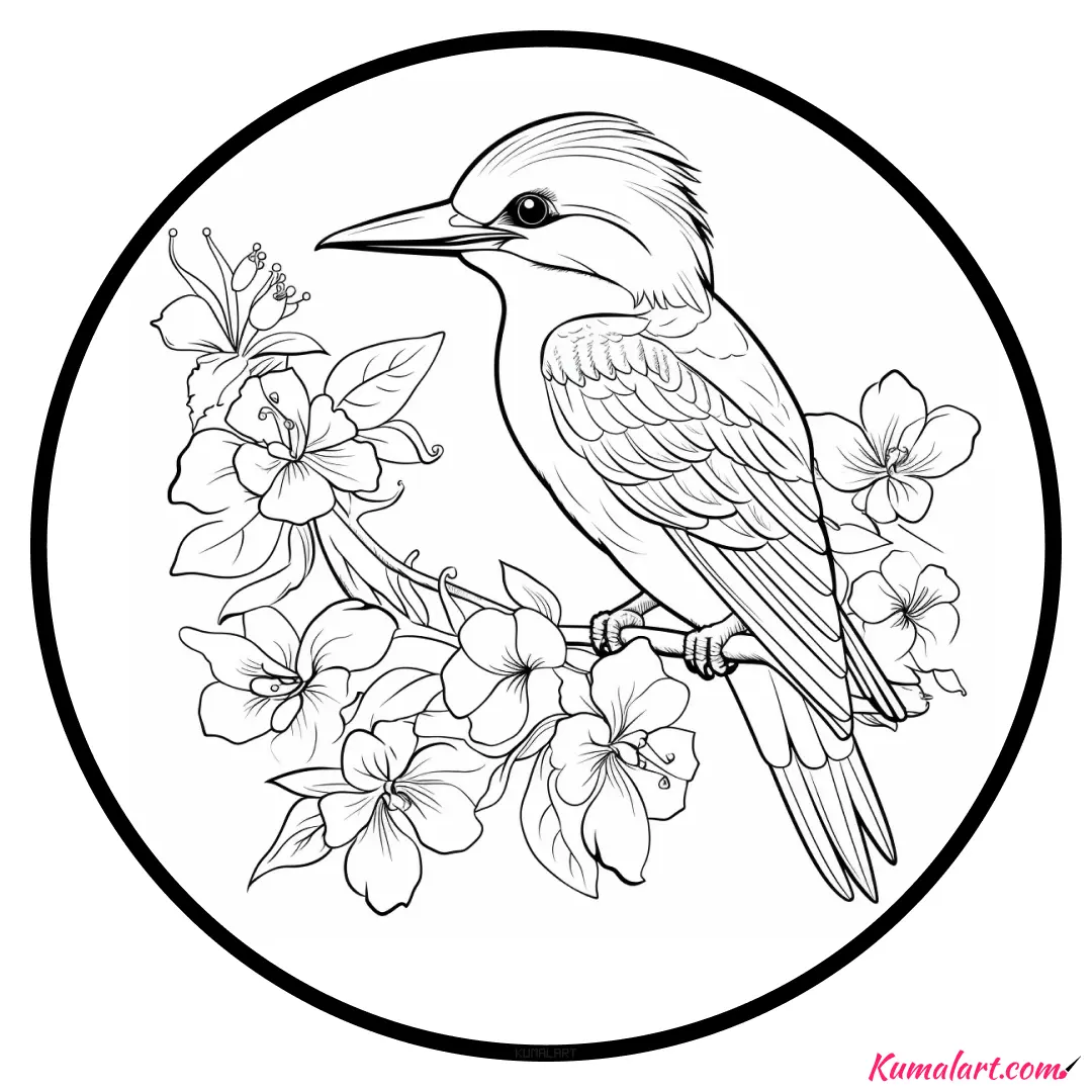 c-wren-kingfisher-coloring-page-v1