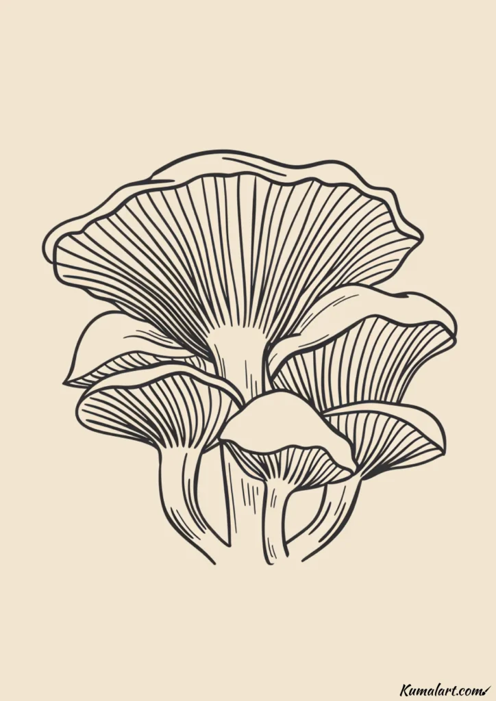 easy cute oyster mushrooms drawing ideas